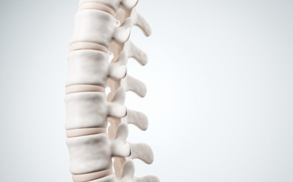 5 Questions To Ask Your Chiropractor