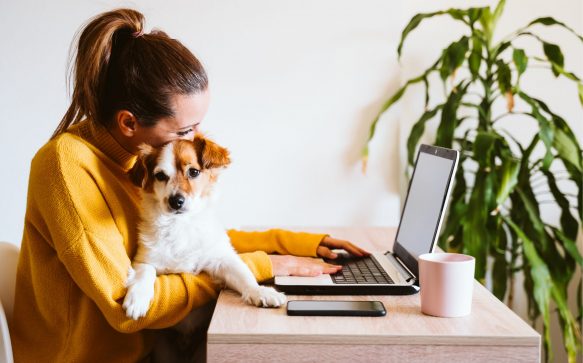 Work From Home Essentials on a Budget