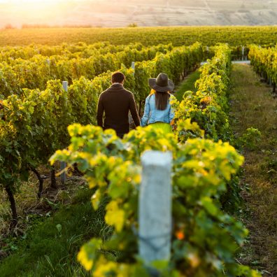 Australia’s Best Wine Regions