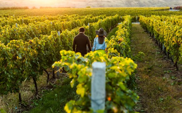 Australia’s Best Wine Regions