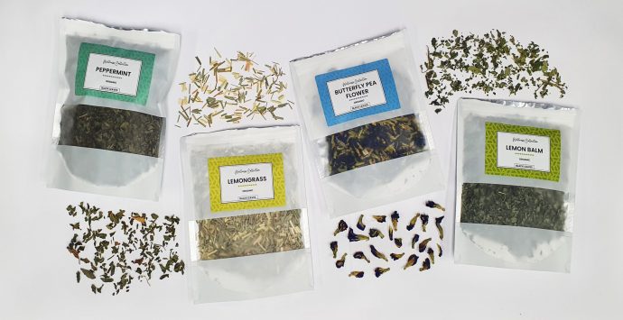 Keep Warm And Healthy This Winter With Tea From Black Leaves