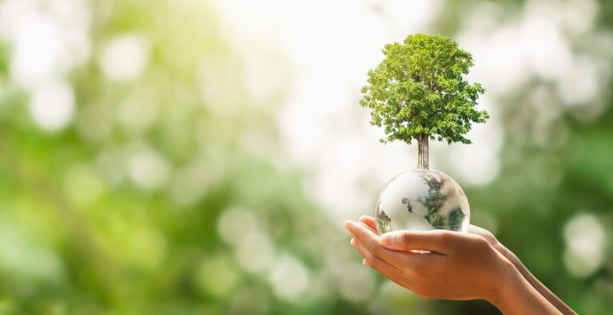EARTHDAY.ORG to host the first ever Climate Education Hub at COP 27